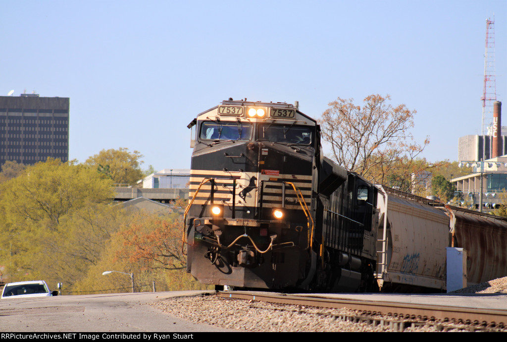 NS 7537